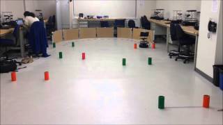 Celebrity Lab 4: Slalom Gate Race Wealth