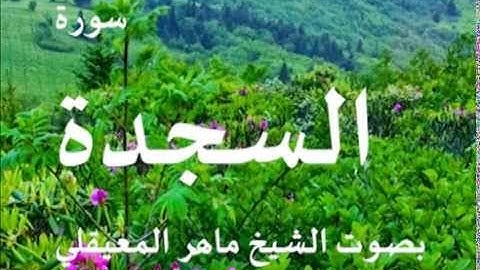 سورة السجدة بصوت الشيخ / ماهر المعيقلي 32