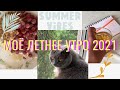 МОЁ ЛЕТНЕЕ УТРО 2021 ☁️☀️|ПРОВЕДИ ЭТО УТРО СО МНОЙ ☕️|УТРЕННЯЯ РУТИНА 🌼🕘|#моёлетнееутро2021