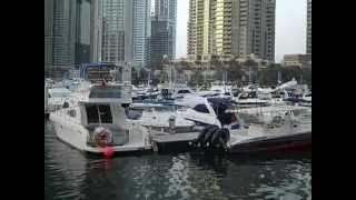 Dubai Marina and the Palm Island