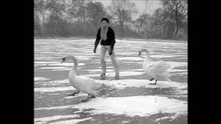 Emilee Moore - Hanging On