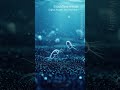 Amoebas | Waterborne | Microscopic - Vertical Stock Footage