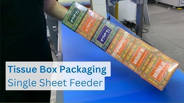 Box-Motion Continuous Sealer & Single Sheet Feeder | Tissue Box Packaging IMPACK ProMotion Machine
