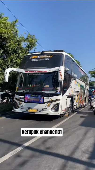 KETEMU BUS MECCA CO  #shotrs #busmeccajb5 #jb5 5 #mobilbasuri #onepiece #trukoleng