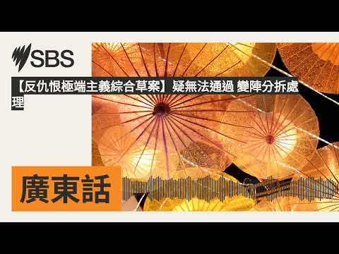 【反仇恨極端主義綜合草案】疑無法通過 變陣分拆處理 | SBS Cantonese - SBS廣東話節目 - YouTube