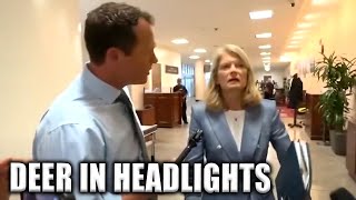 Republican GLITCHES When Confronted By Reporter... Now Voters Are FURIOUS!