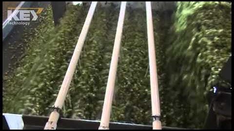 Diced Celery on Sliver Sizer Remover