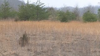 Federal prison coming to Letcher County