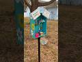 Melbourne, Florida keychain library #florida #keychainlibrary #asmr #foryou 