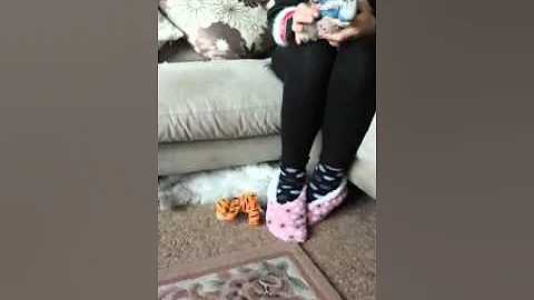 Bella and Masie's first Christmas