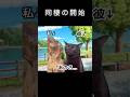 1.2年悩んだ結果 #猫ミーム #おもしろ #恋愛 #猫