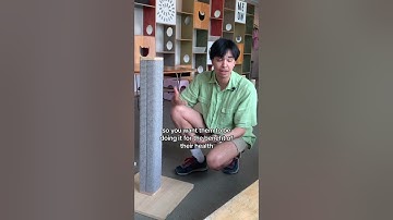 3 Tips to STOP Cat From Scratching Couch