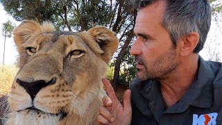Lion Diseases with #AskMeg - Part 1 | The Lion Whisperer