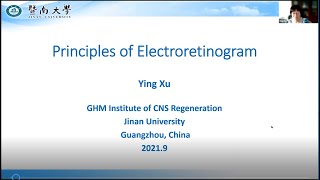 Principles of electroretinogram (ERG)