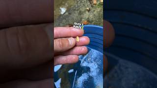 Jai Trouvé Une Pépite Dor Avec Mon Détecteur Abonnez-Vous Pour Ne Pas Rater La Suite