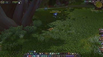 Talbuk Mastery 1/3 (Talbuk Stag), WoW TBC Quest