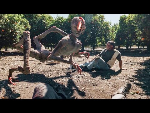 الحكومة بتلاقي فيديوهات قديمة فيها لقطات مرعبة لهجوم كائنات وحشية