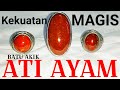 ⚓ Batu Cincin Ati Ayam