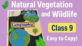 Class 9 CBSE Project File on Natural Vegetation & Wildlife 🌲| Geography Project 🌿