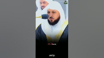 {ياقومنا اجيبوا داعي الله} #ماهر_المعيقلي #روائع_المعيقلي #سورة_الأحقاف