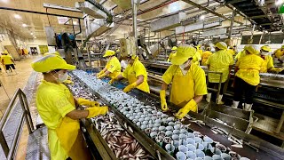 HI-TECH, MABILIS! 3 MILLION Caned SARDINES Everyday Production ang MEGA SARDINES!