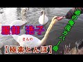 服部 浩子さんの【極楽とんぼ】に俺流炸裂!!