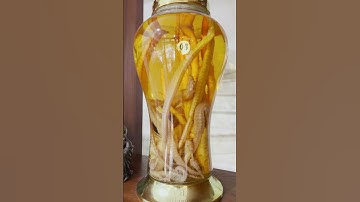 Chuyển HỒ CÁ CÔNG NGHỆ lên 9 bậc thang thở hổn hển #shorts