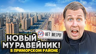 Новый МУРАВЕЙНИК в Приморском районе СПб - в лесу и без метро / ЖК Окла и ЖК Бионика