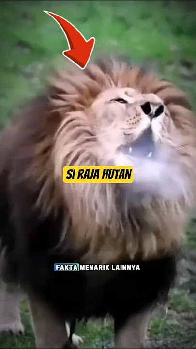 si raja hutan#alizasehar