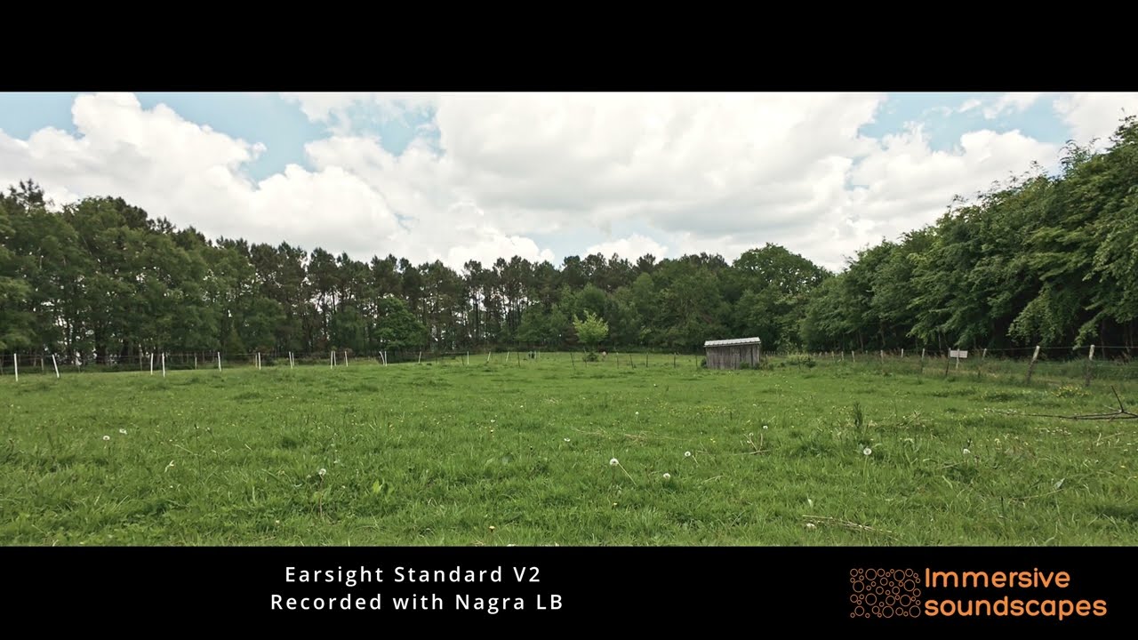 Earsight Standard V2 - Morbihan (FR) - Quiet nature