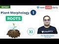 Plant Morphology - L1 | Roots | Class 11 | Unacademy NEET | NEET LIVE DAILY | Botany | Sachin Sir