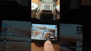 L'instant MACRO . LAOWA 65 mm F/2.8 avec une bonnette macro Raynox 250