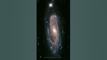 Stop Scrolling 🚫 #viral #youtube #shorts