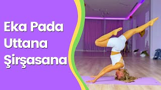 Şirşasananın 50 Tonu Eka Pada Uttana Şirşasana Nava Nur Tüzüner