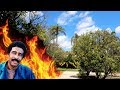 #965 Where Did RICHARD PRYOR Set Himself On Fire? Jordan The Lion Daily Travel Vlog (3/29/19)