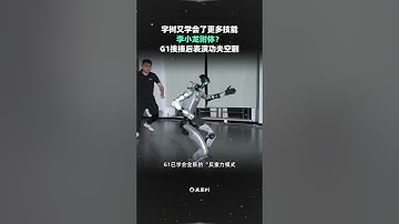宇树G1被打趴无数次还能站起#机器人 #人形机器人 #宇树机器人 #暴力测试 #李小龙 #国产机器人 #科技  #ai #人工智能  #科技 #robot  #aigc #互联网 #大模型