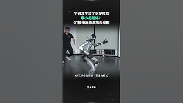 宇树G1被打趴无数次还能站起#机器人 #人形机器人 #宇树机器人 #暴力测试 #李小龙 #国产机器人 #科技  #ai #人工智能  #科技 #robot  #aigc #互联网 #大模型