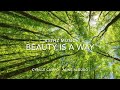 Beauty is a way  extrait de lalbum  aloha  de  aline algudo et cyrille campo 432hz music