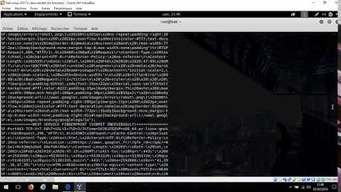 Using scripts on nmap like dns-brute Kali Linux
