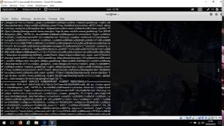 Using scripts on nmap like dns-brute Kali Linux
