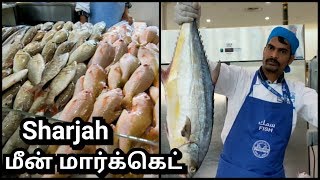 U.A.E Sharjah fish Market/ Souq al jubail Modern market Sharjah/Wholsale Fish Market