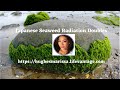 Japanese Seaweed Radiation Doubles