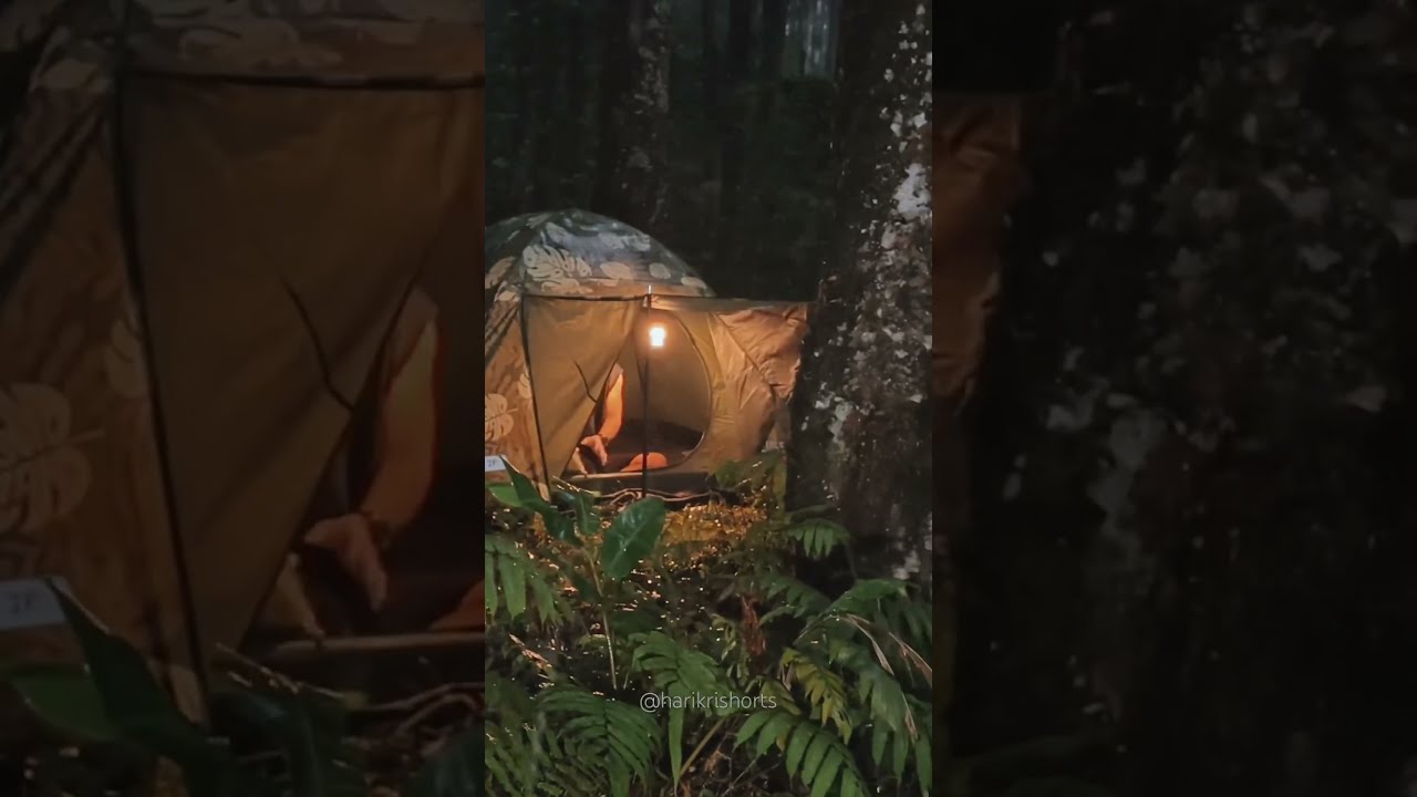 SOLO CAMPING HEAVY RAIN AT NIGHT Shorts