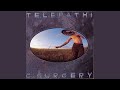 The Flaming Lips - Telepathic Surgery