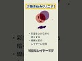 【グリザイユ風】鮮やかなキャライラストを描きたい方にオススメの描き方 #shorts #色塗り #イラスト #イラストメイキング