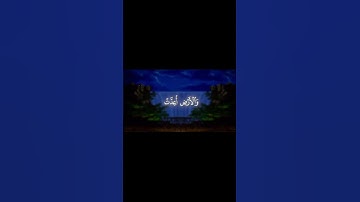 قران كريم بصوت القارئ الشيخ يوسف الصقير