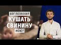 Каких животных Бог позволил кушать Ною?