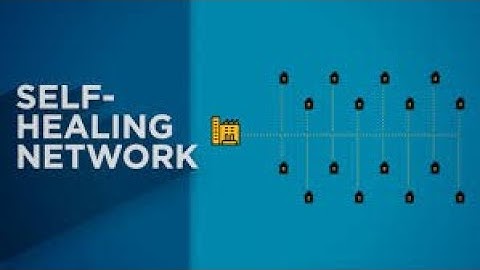 Self-Healing Networks: The Future of Automated Network Management