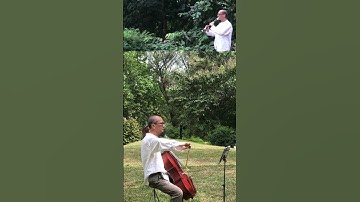 Thumbnail of Bach Ave Maria