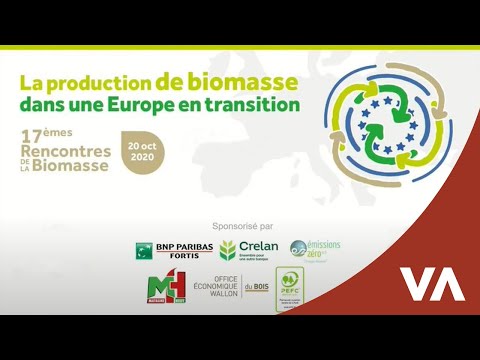 Vidéo: Une étude De Dix Ans A Permis De Calculer La Masse De L'écosystème Souterrain De La Terre - Vue Alternative